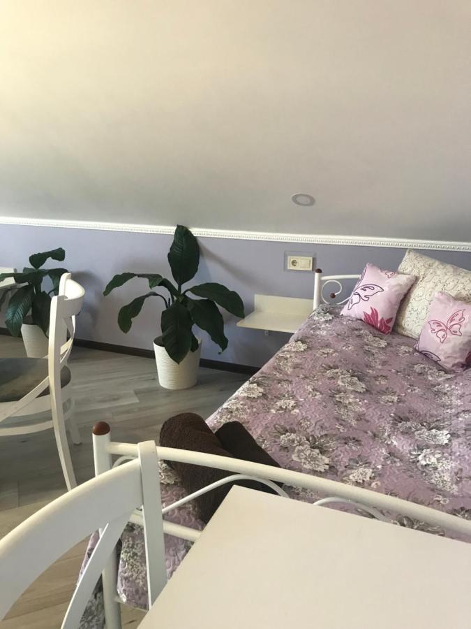 Villa Galicia Berehove  Dış mekan fotoğraf